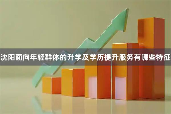 沈阳面向年轻群体的升学及学历提升服务有哪些特征